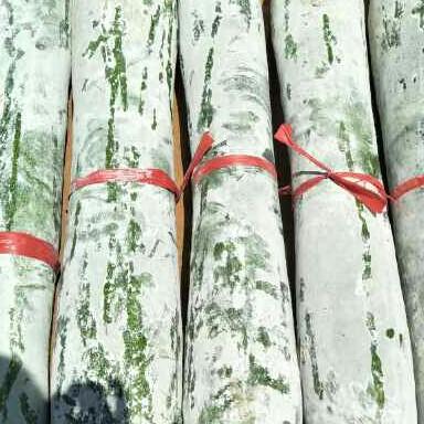 株洲市芦淞区奕颜水果店（个体工商户）