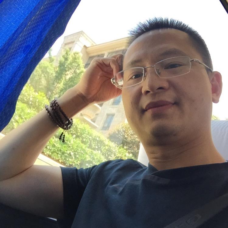 龙的传人