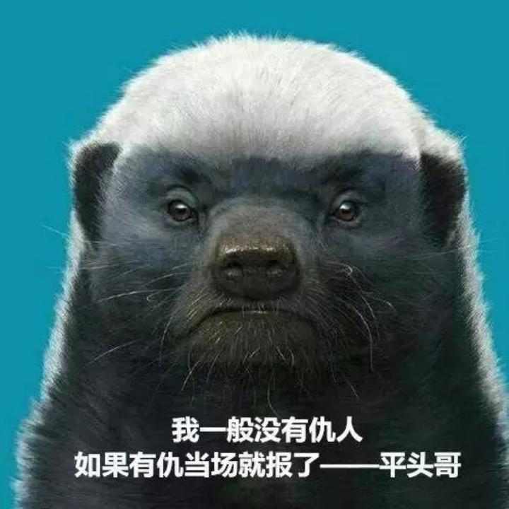 老范