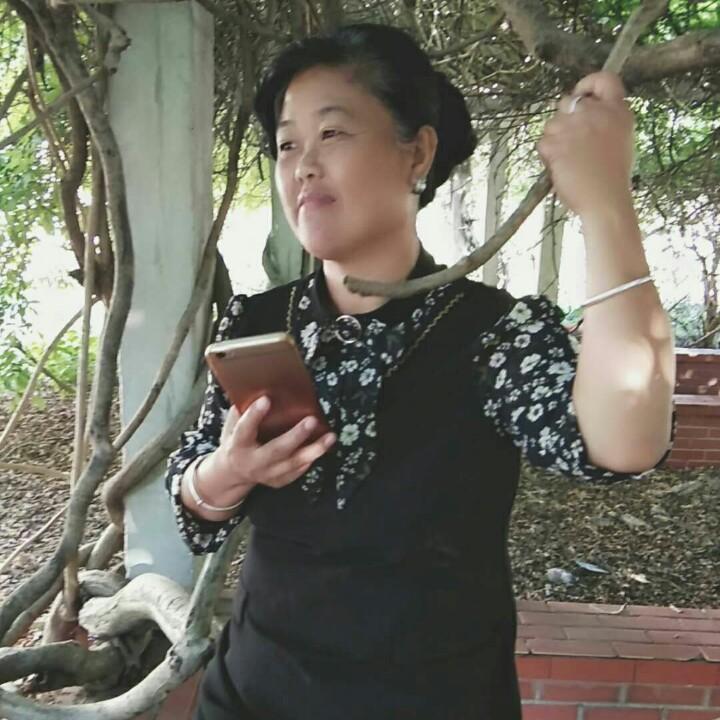 ꧁山茶花꧂