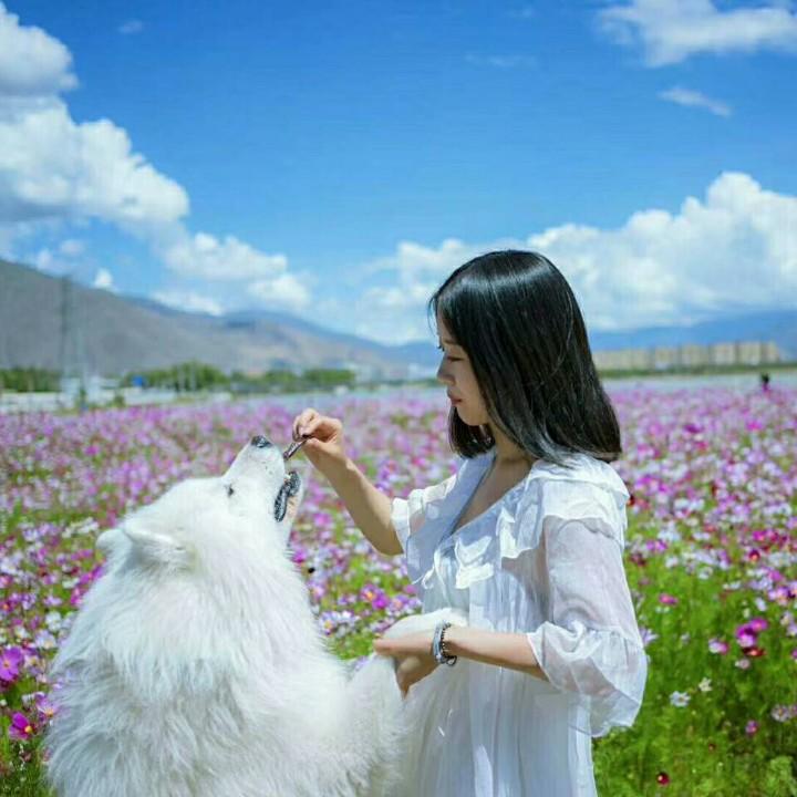 空城旧梦