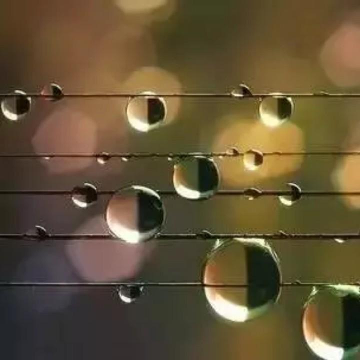 雨露🍓🍅