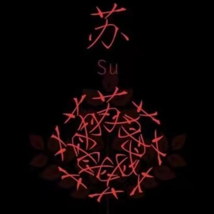 S.    U