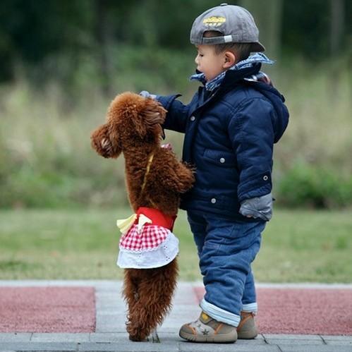 锦诺服装包装ℳ๓᭄ꦿ晚^_^风࿐
