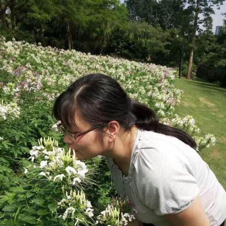 盈彩缤纷