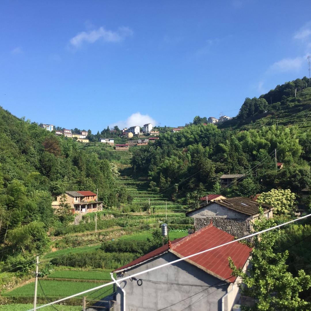 缙云乡村食材
