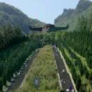 城市套路深我要回农村