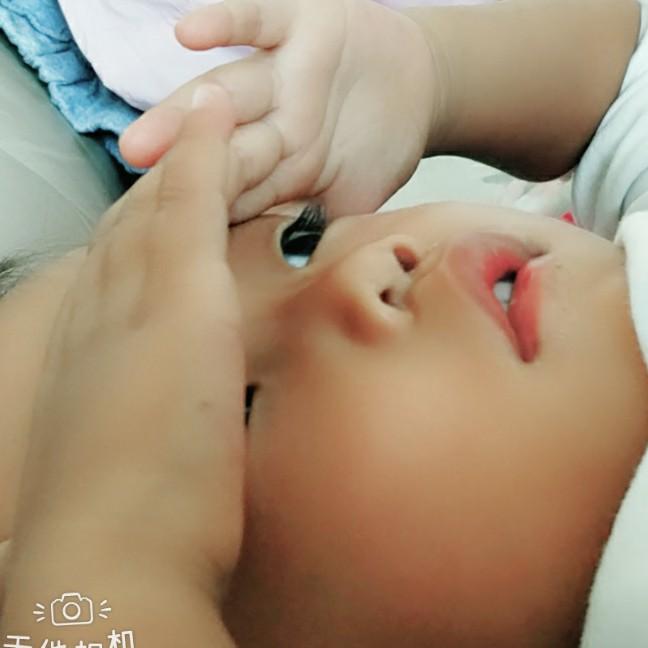 子非鱼🍲