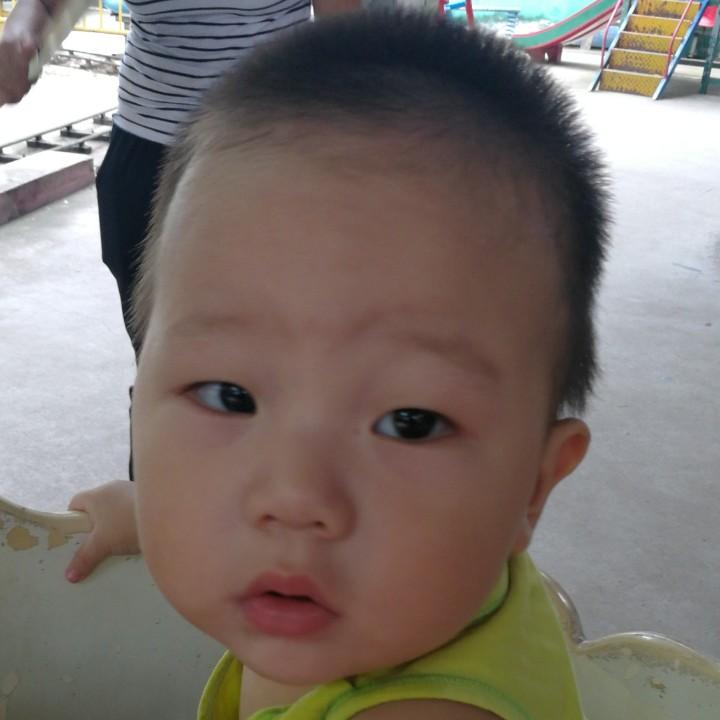 宝乐