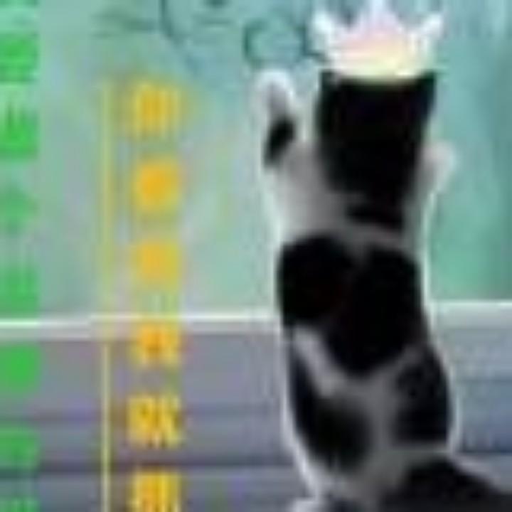 冰雪儿