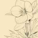 那片星空那片海