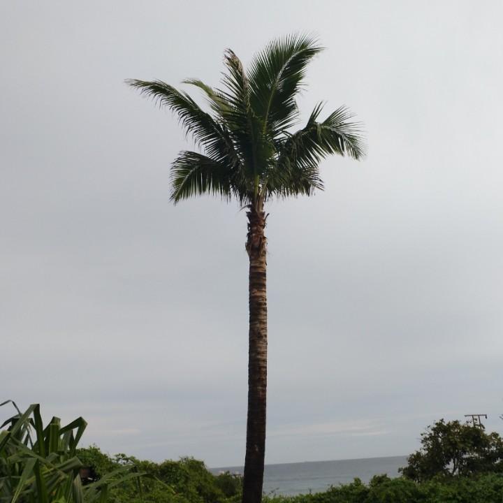 太阳