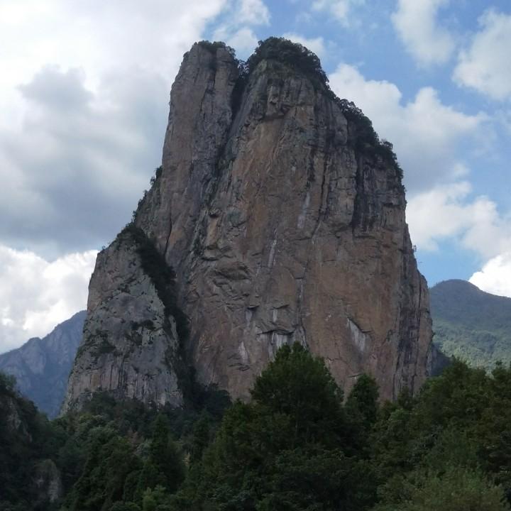 小张布业《麂皮绒生产厂家》