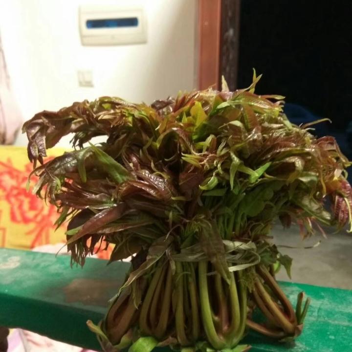 香椿腊肉土蜂蜜
