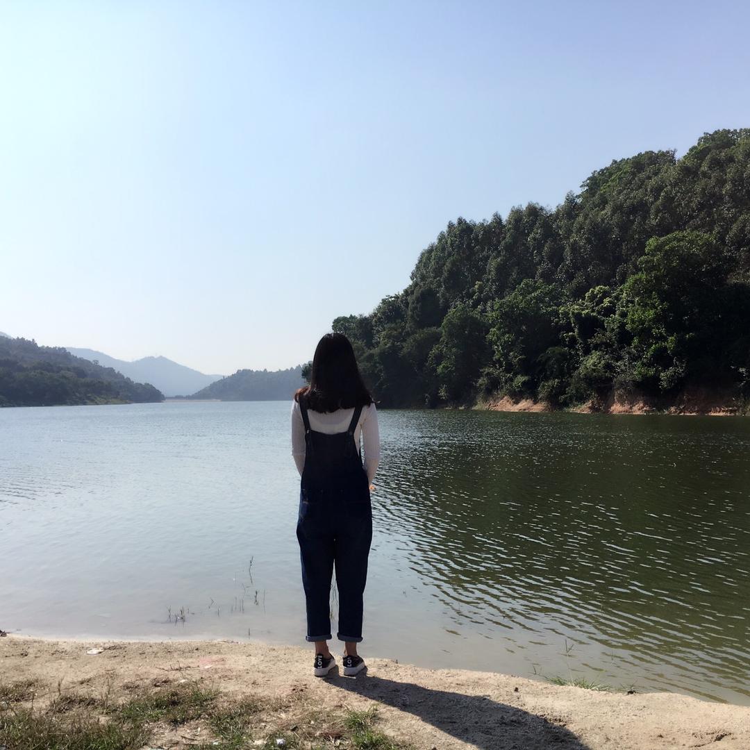想要到处浪浪浪