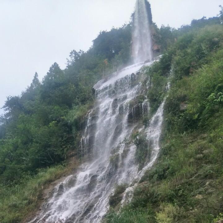 绝色芳华