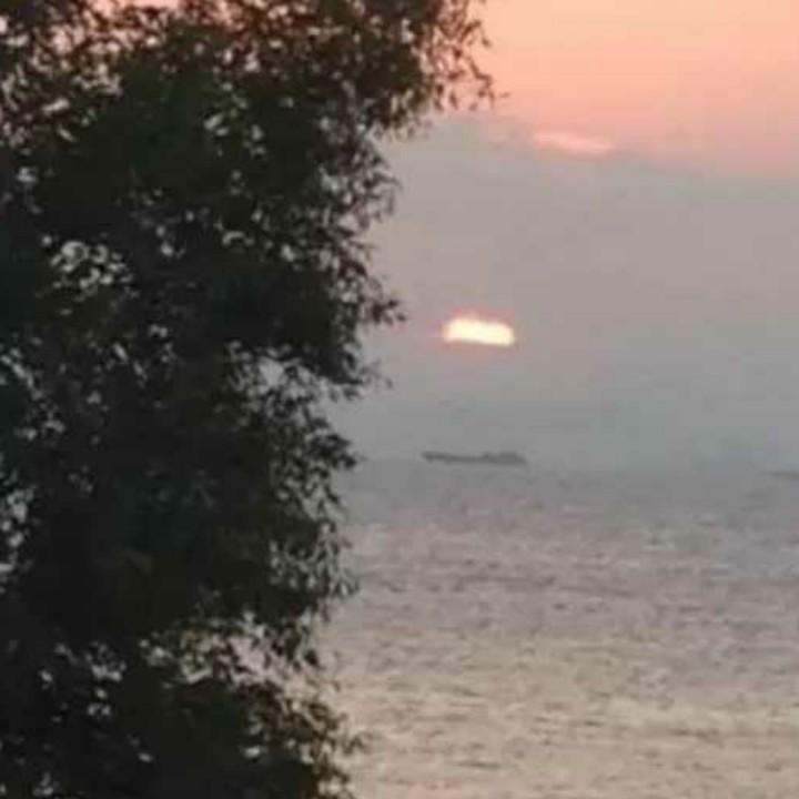 🕊꧔ꦿ᭄💞顺理陈张🦋꧔ꦿ᭄💞