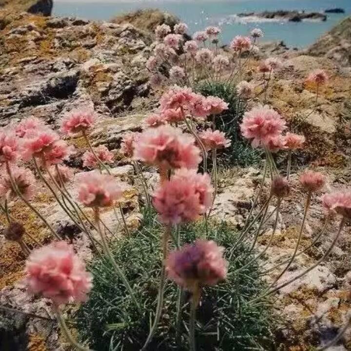 英你精彩