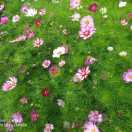 综评档案问题咨询