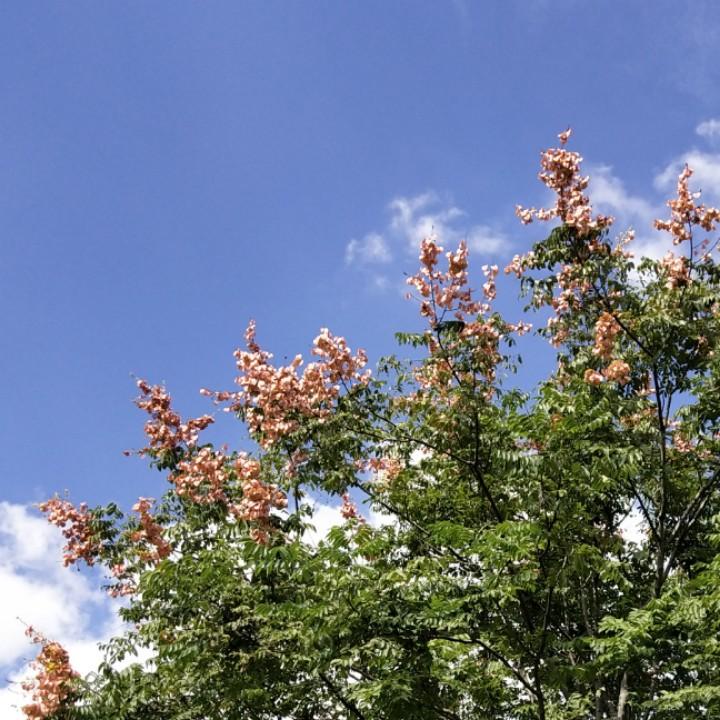 玩方向盘的👩🏻‍🦰司机