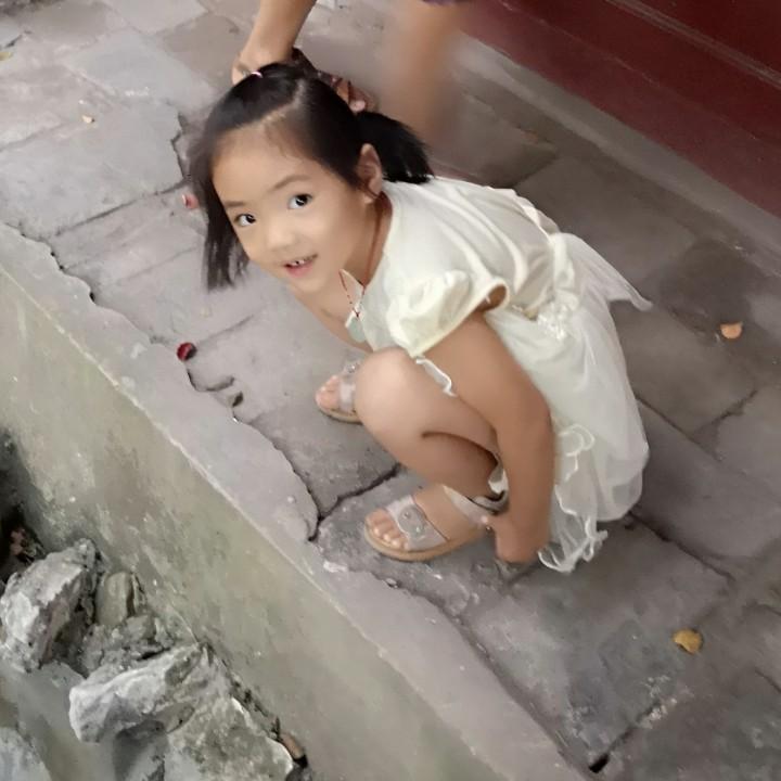 土豆