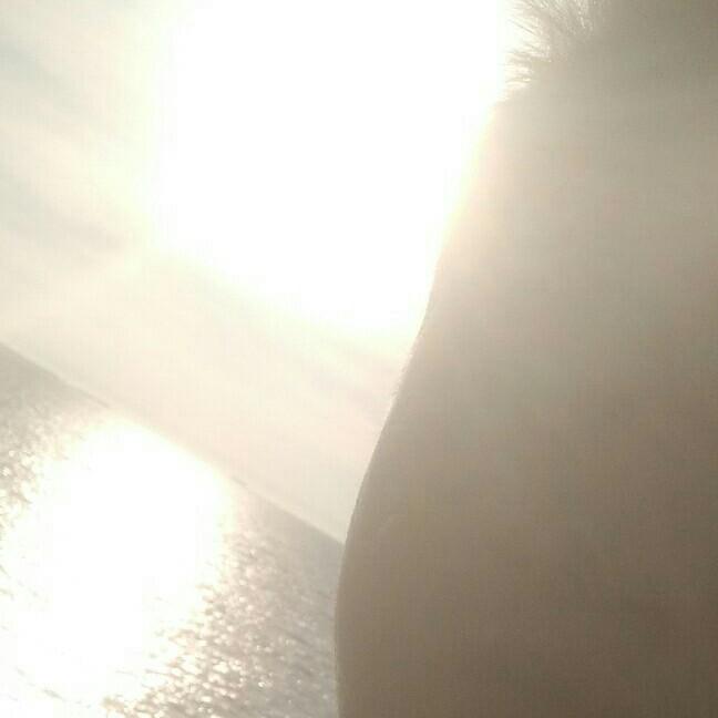 水中花🌸