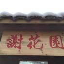 谢花园林设计