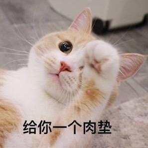 一朵🍥