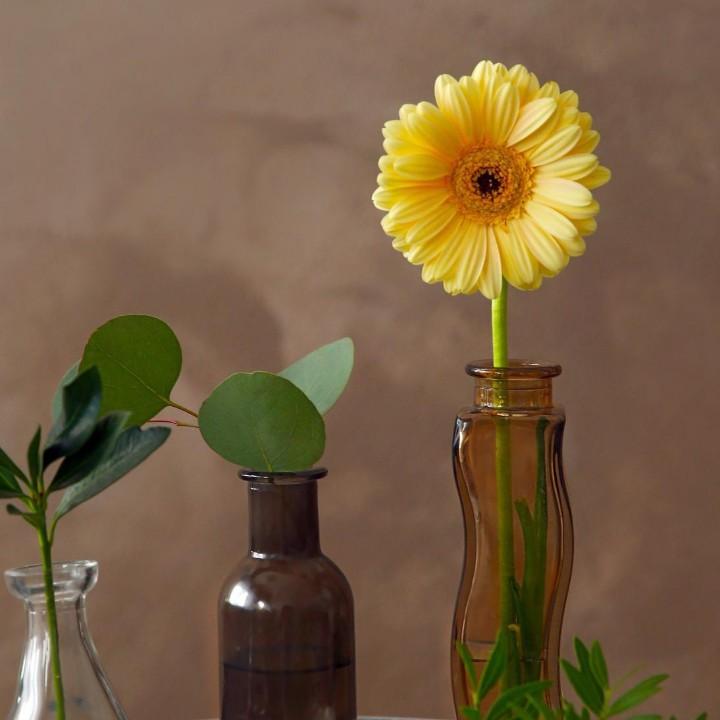 真牛赵丽一一电机姐（趙贞逞）