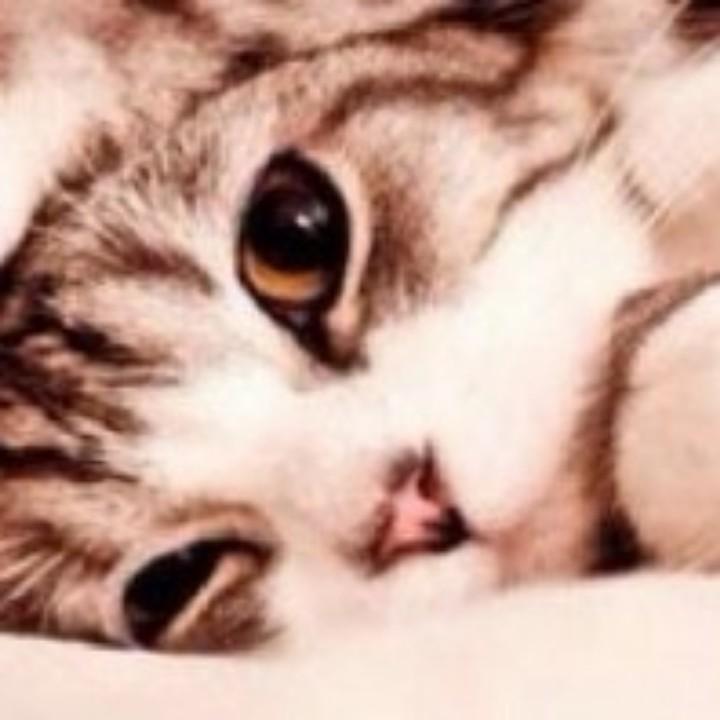 清风暖阳