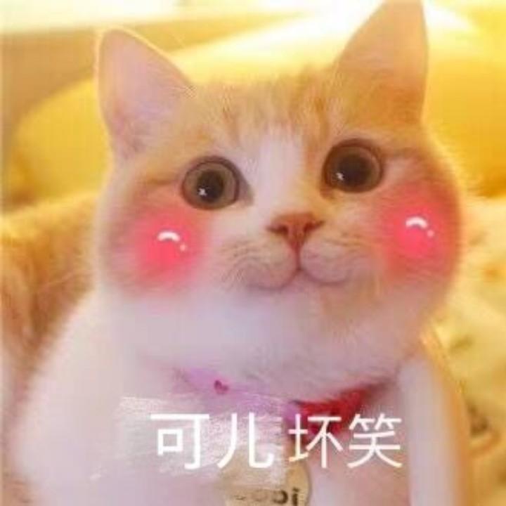 可儿本尊skr～