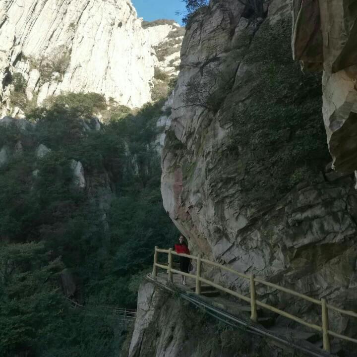 陈小九