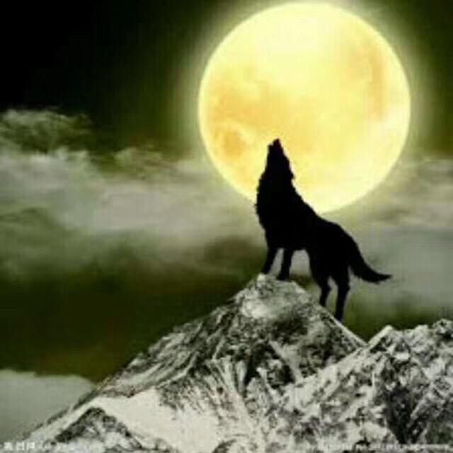 怒不可遏的重音