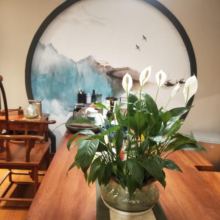 隆鑫