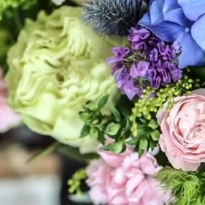 william.威廉