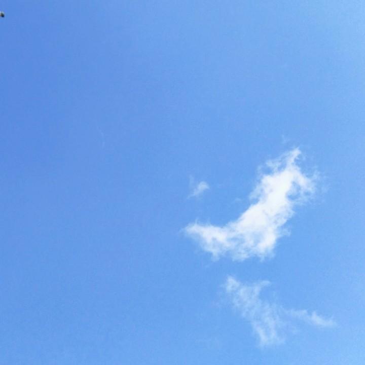 🌈@颖儿
