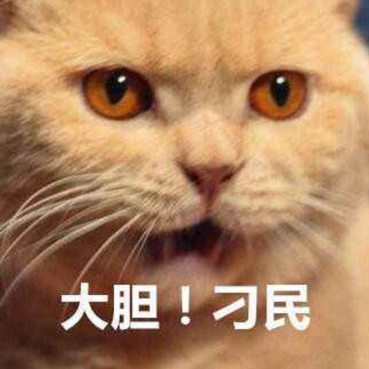 逍遥浪子