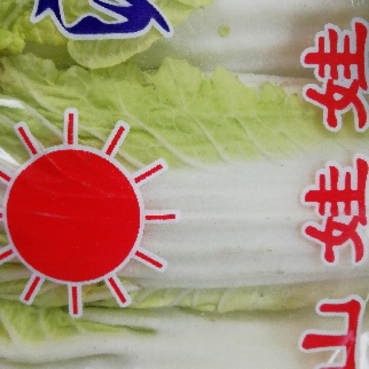 龙的传人