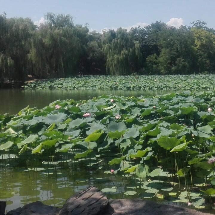 芳姐姐