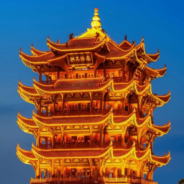 汪星人