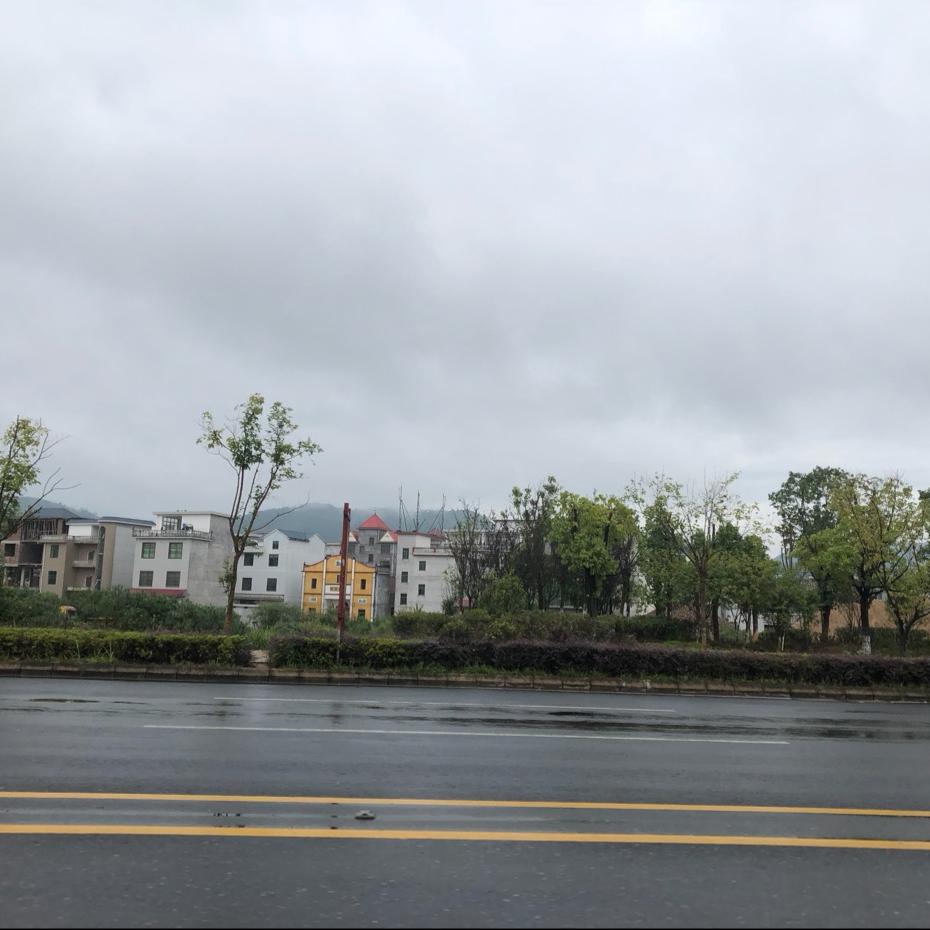 飞袅