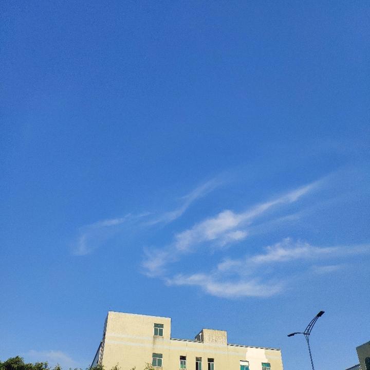 自由自在