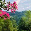 长江第一溪下牢溪🚤天泽洞穴山庄👏👏