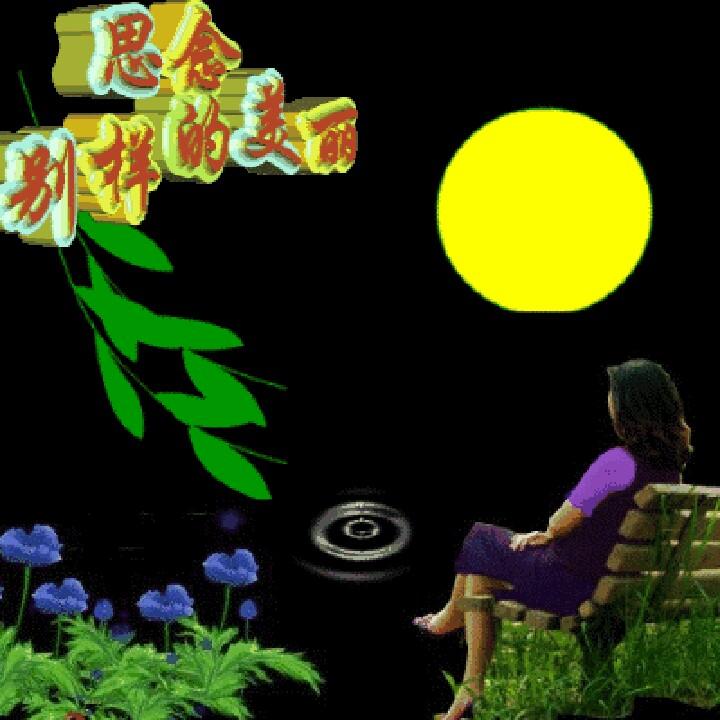蝶影