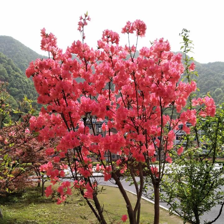 娟娟的小美好