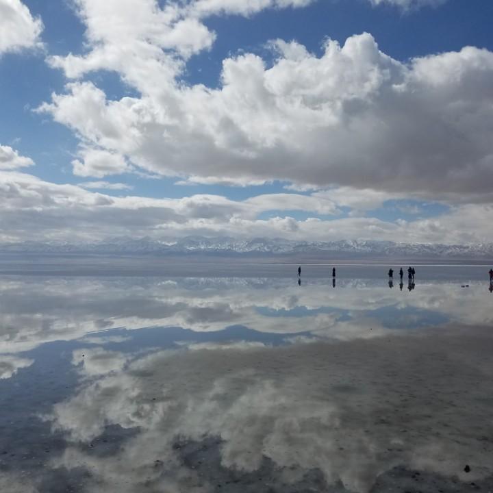 青海藏区牧场
