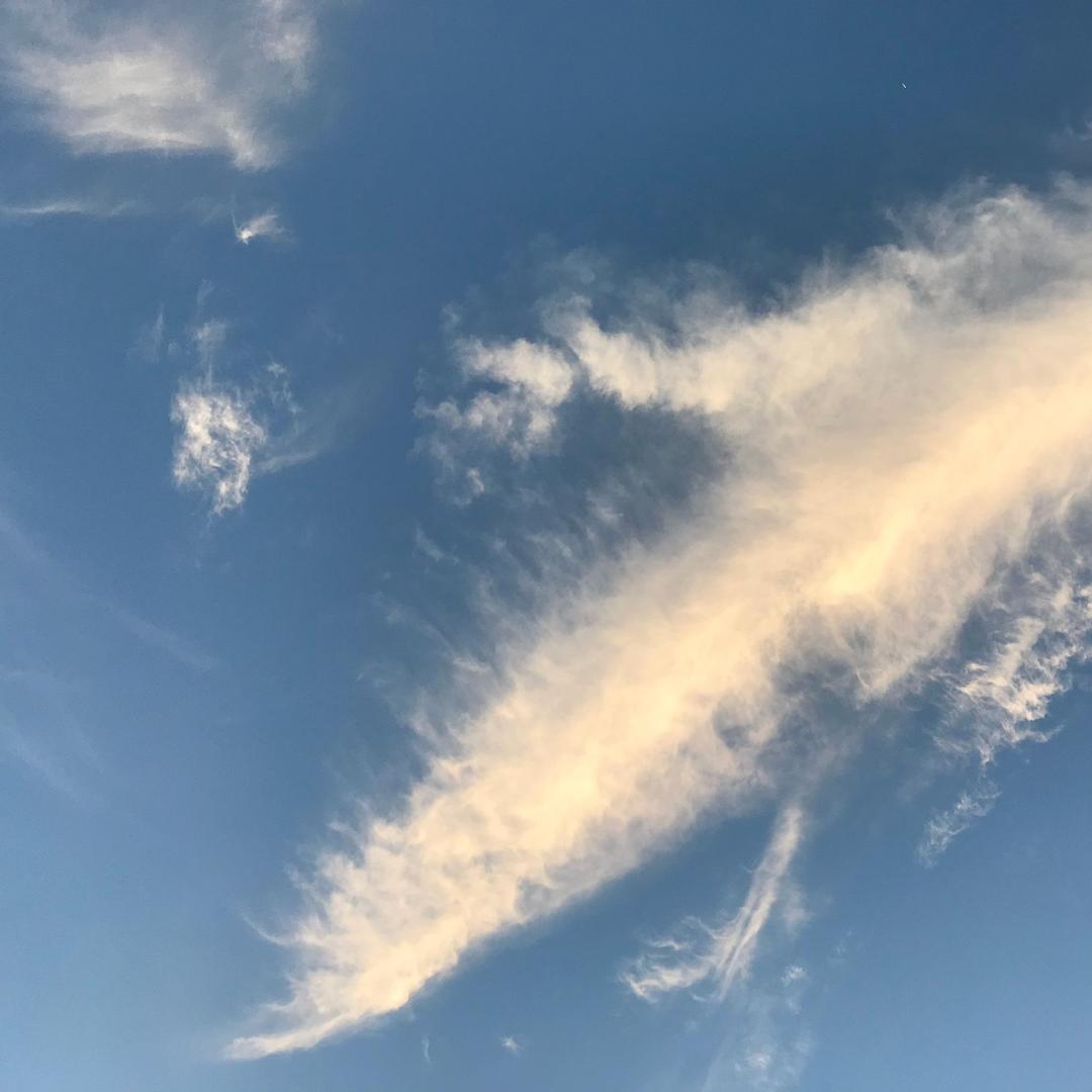 星空🌸🌸