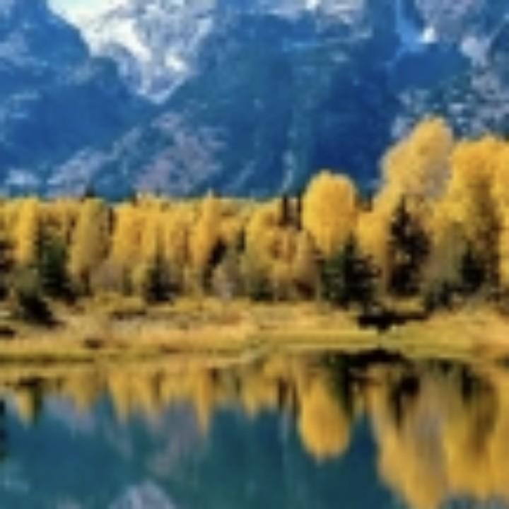 千江映月