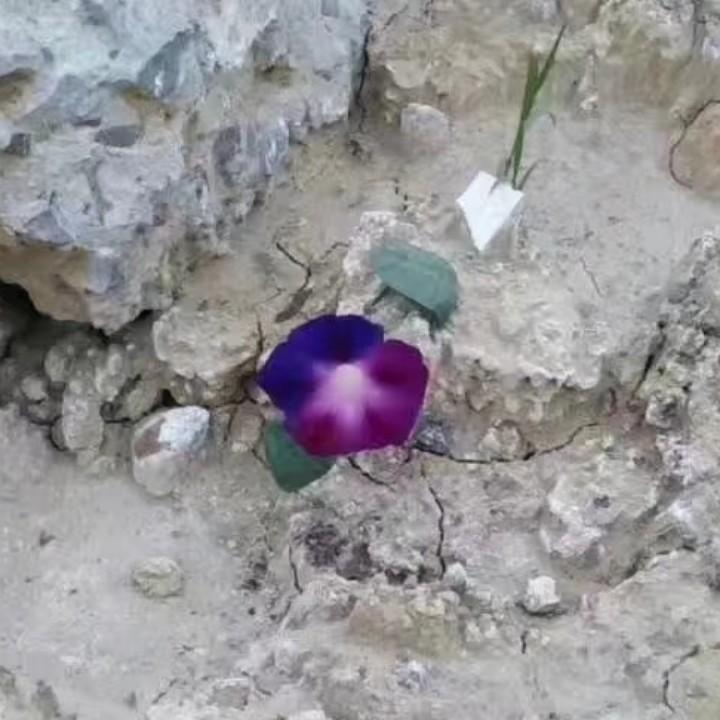 印👣