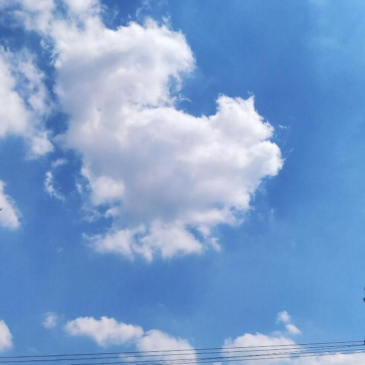 五金曰杂
